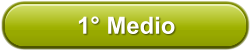 1 Medio